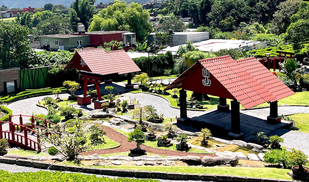 Vive-Orizaba-Que-Hacer-Biori-Jardin-Botanico-de-Orizaba